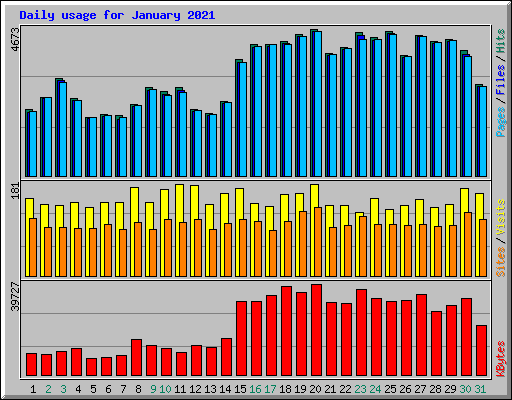 Daily usage for January 2021