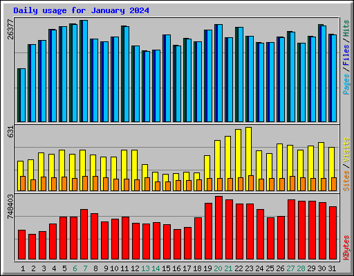 Daily usage for January 2024