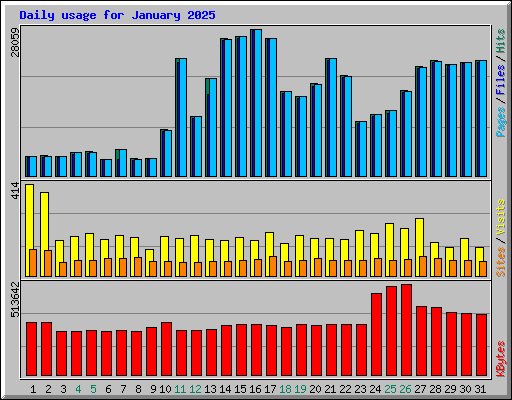 Daily usage for January 2025