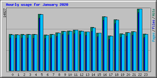 Hourly usage for January 2020