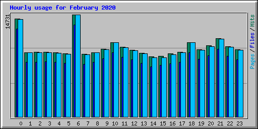 Hourly usage for February 2020