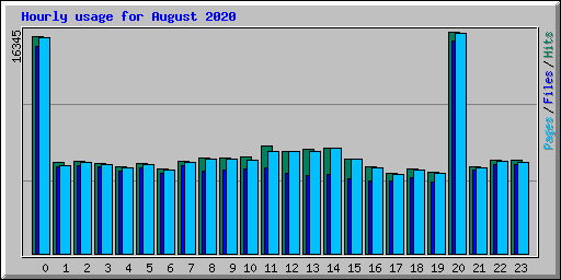 Hourly usage for August 2020