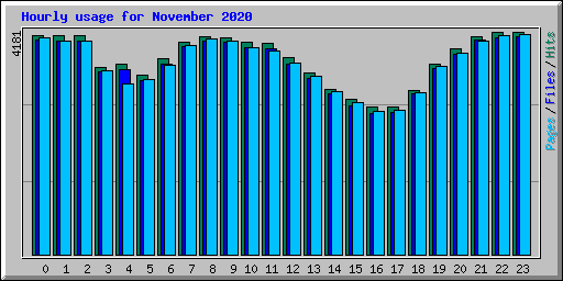 Hourly usage for November 2020