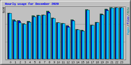 Hourly usage for December 2020