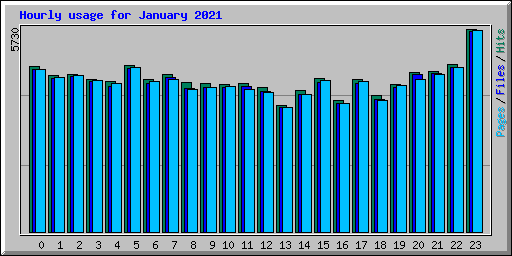 Hourly usage for January 2021