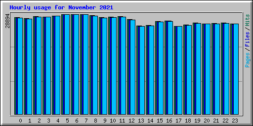 Hourly usage for November 2021
