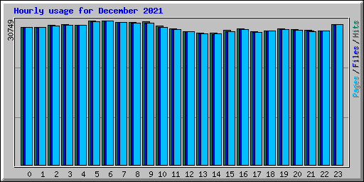 Hourly usage for December 2021