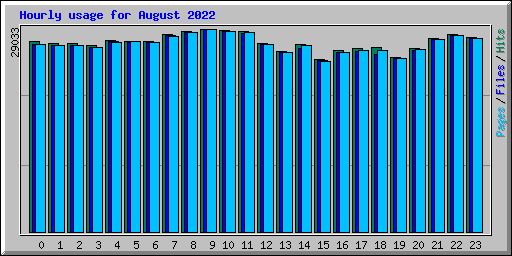 Hourly usage for August 2022