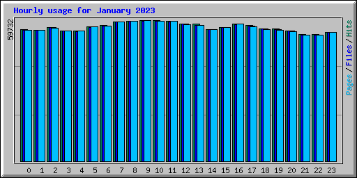 Hourly usage for January 2023