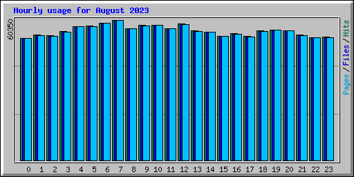 Hourly usage for August 2023