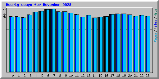 Hourly usage for November 2023