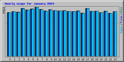 Hourly usage for January 2024