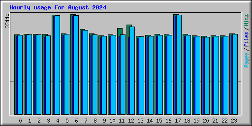 Hourly usage for August 2024