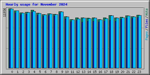 Hourly usage for November 2024