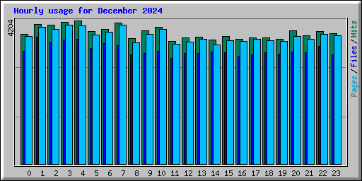 Hourly usage for December 2024