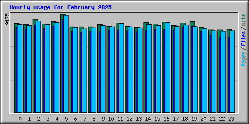 Hourly usage for February 2025