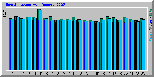 Hourly usage for August 2025