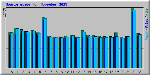 Hourly usage for November 2025