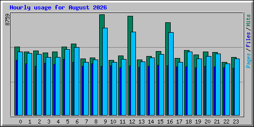 Hourly usage for August 2026